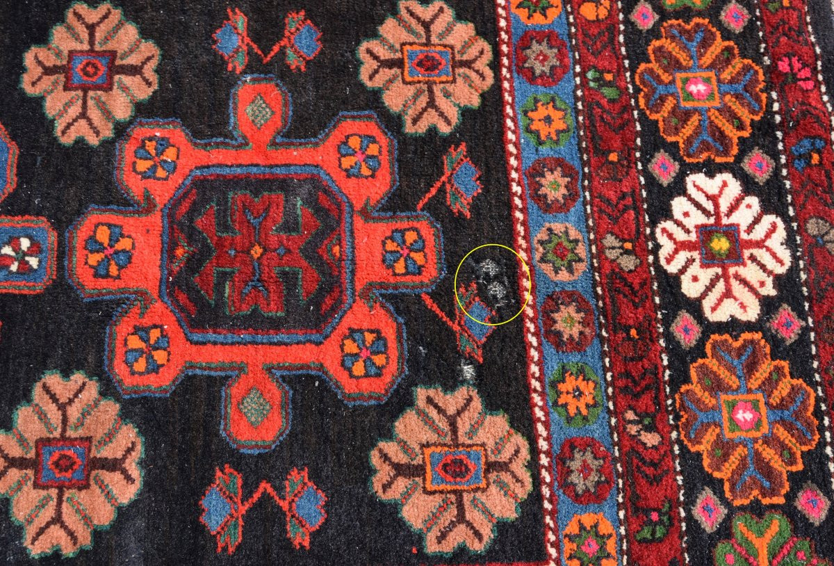 Tapis KAZAK Caucasien – Noué main – 243 x 140 cm- "Galerie Sardje" -photo-5