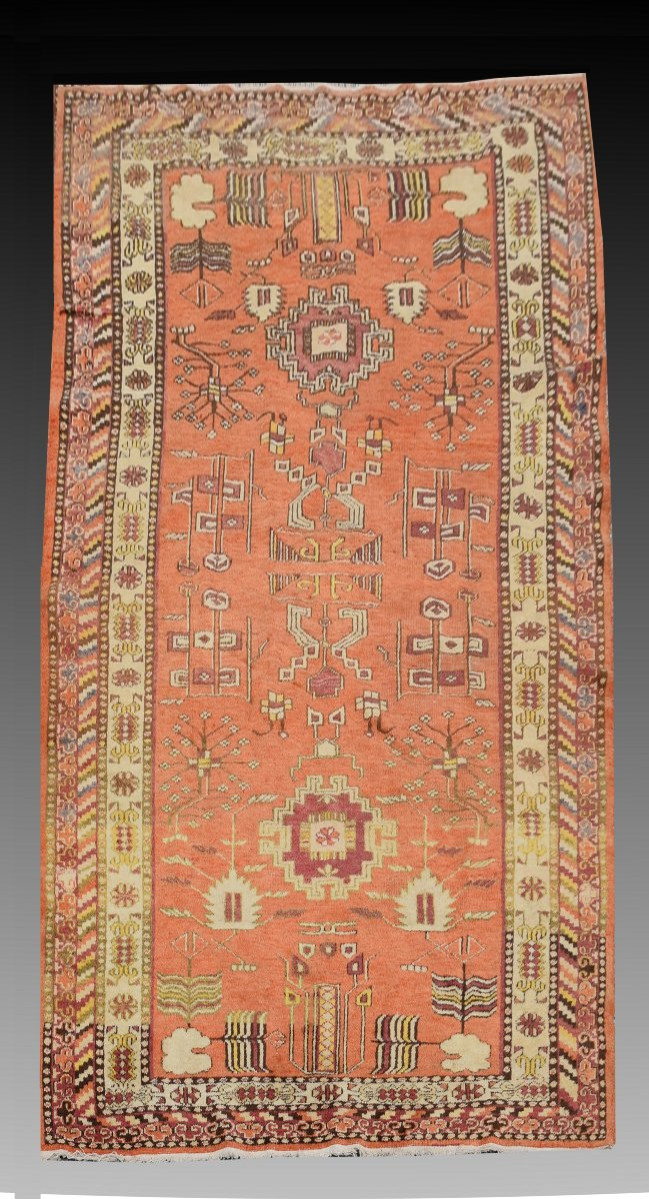 Rug Khotan Turkestan - Samarkand : 285x138 Cm "galerie Sardje"-photo-2