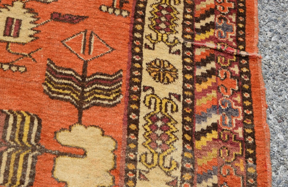 Rug Khotan Turkestan - Samarkand : 285x138 Cm "galerie Sardje"-photo-5