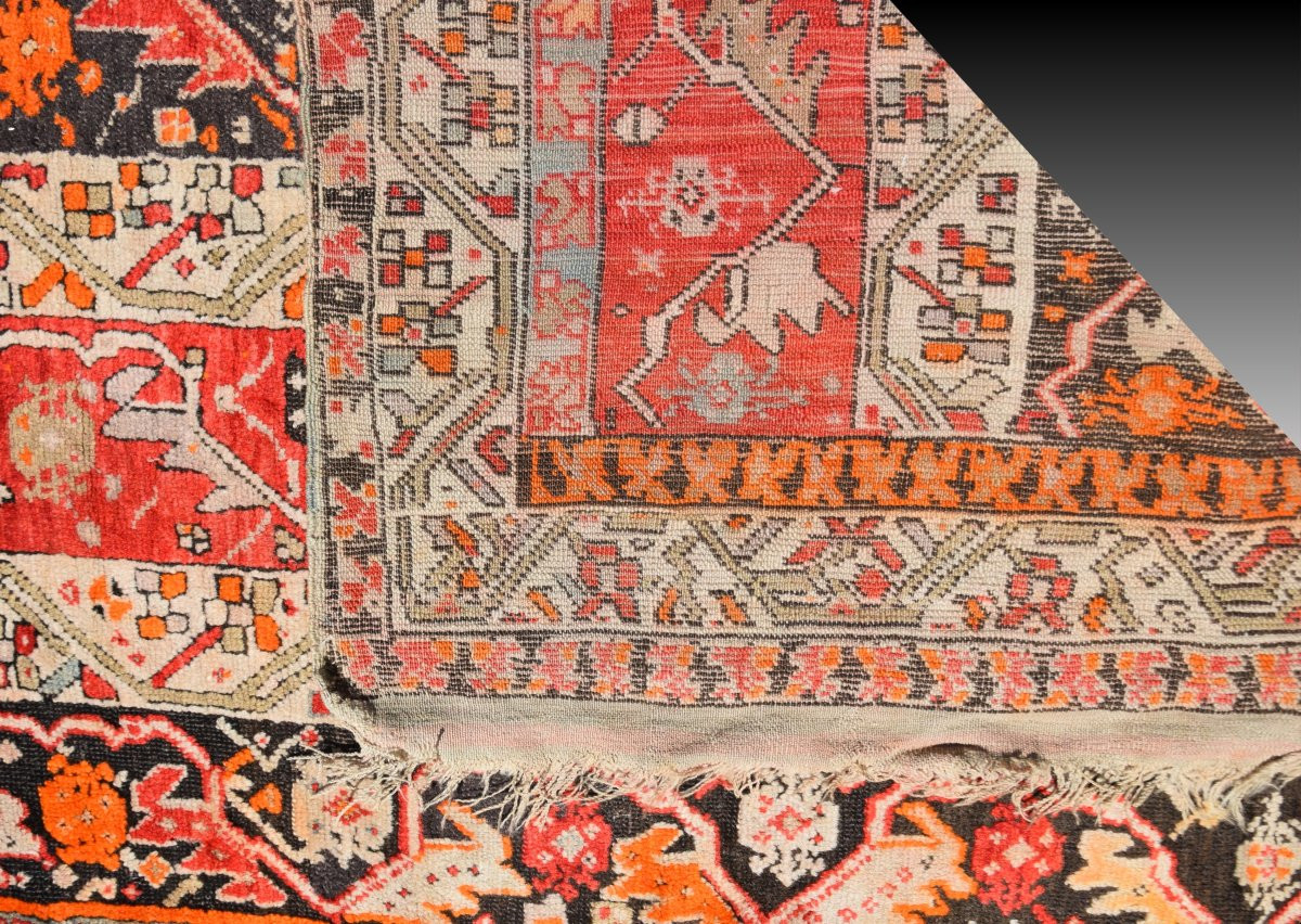 Tapis ancien caucasien Daghestan : 315 x 125 Cm -"Galerie Sardje"-photo-8