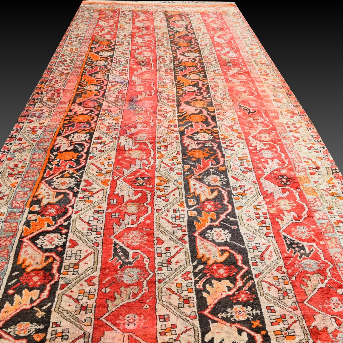 Tapis ancien caucasien Daghestan : 315 x 125 Cm -"Galerie Sardje"