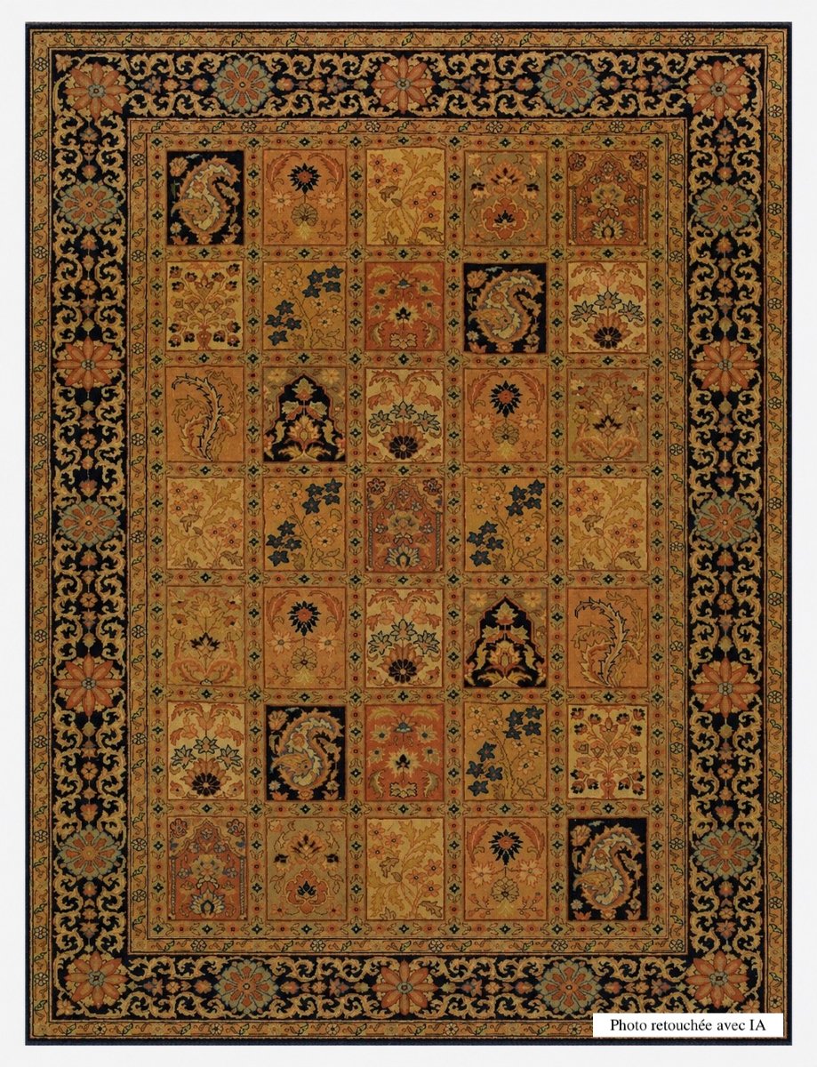 Tapis d'orient Transylvanie : 200 x 300 Cm " Galerie Sardje"-photo-2