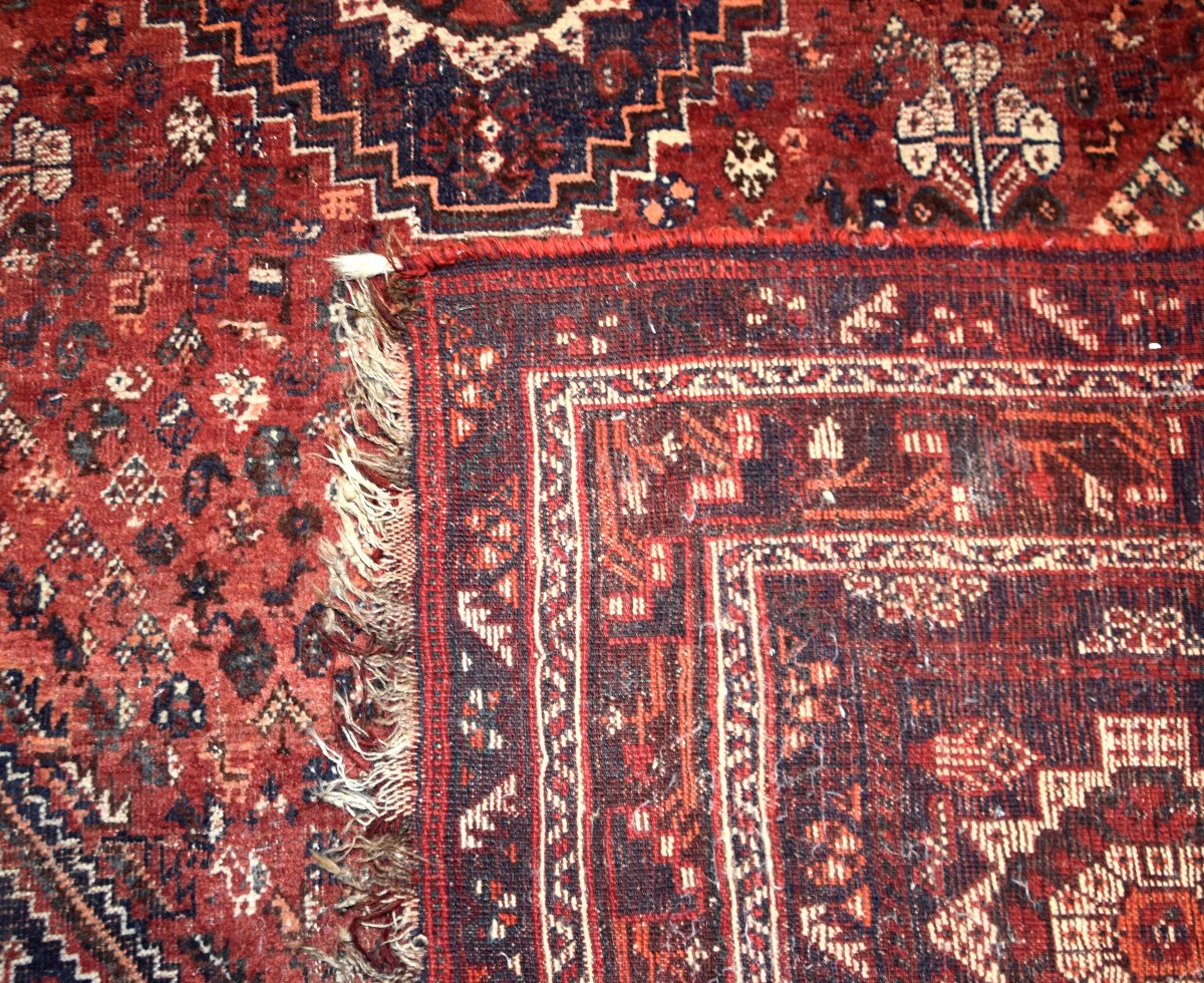 Iranian Shiraz Oriental Rug, Gashghai: 230 X 310 Cm "galerie Sardje" -photo-5