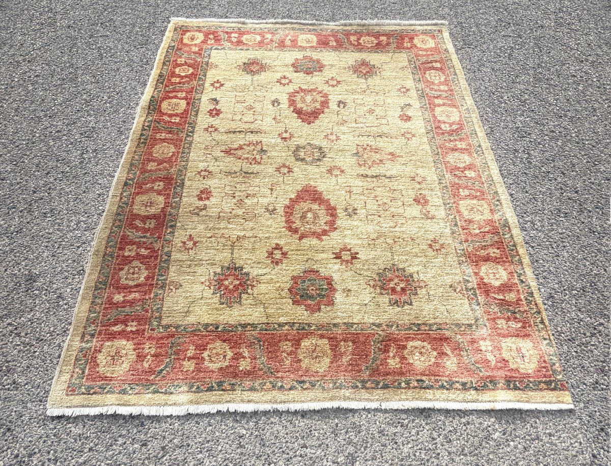 Tapis afghan vintage Chobi Ziegler noué à la main : 193 x 154Cm "GalerieSardje"-photo-4