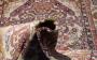 1503549-alb-67ca97675fbee.jpg