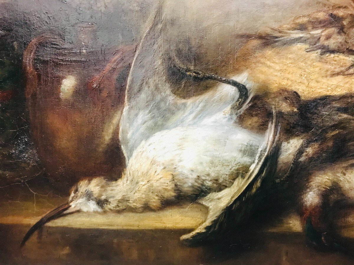 Still Life With Marsh Birds-photo-2