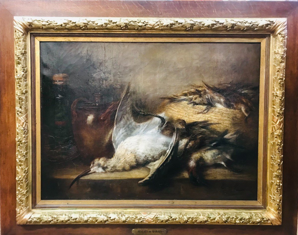 Nature Morte Aux Oiseaux Des Marais