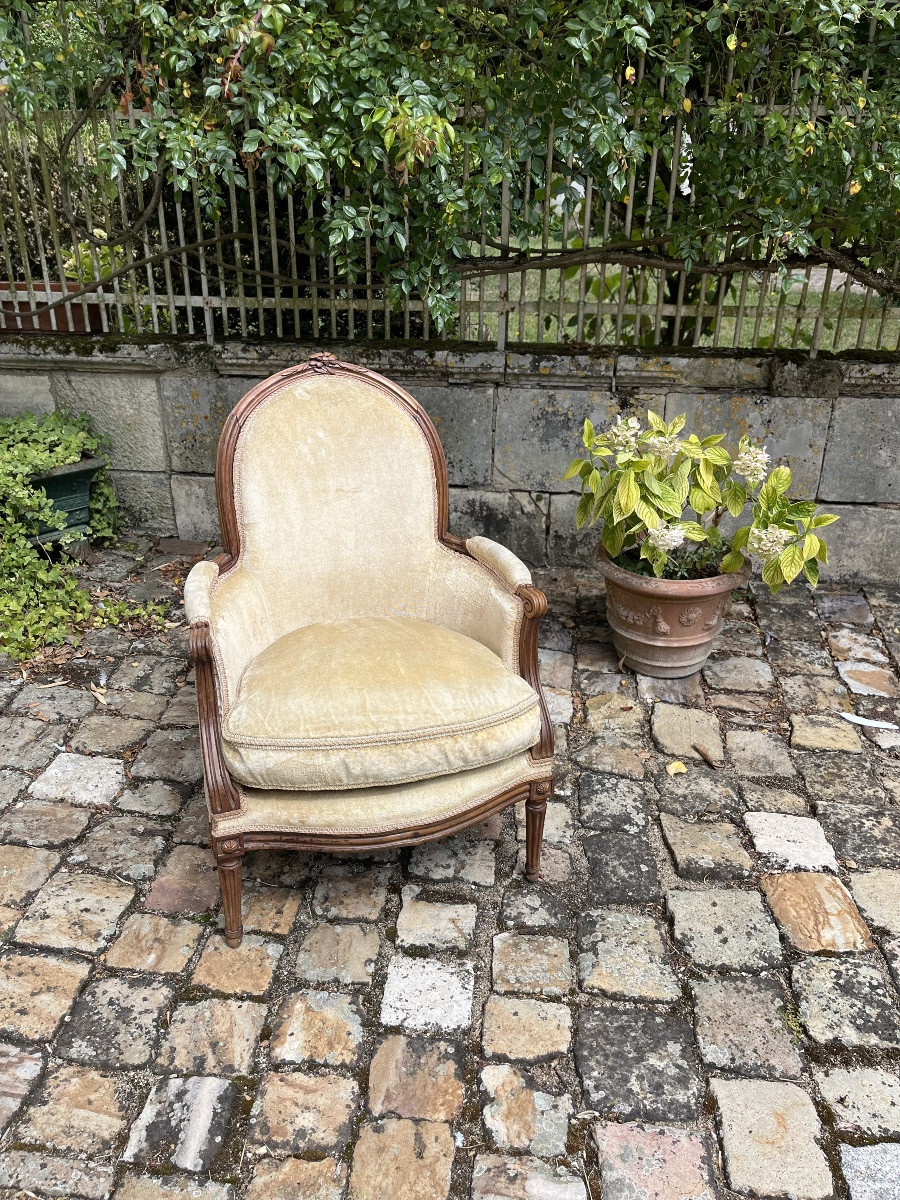 Louis XVI Period Natural Wood Bergère -photo-6