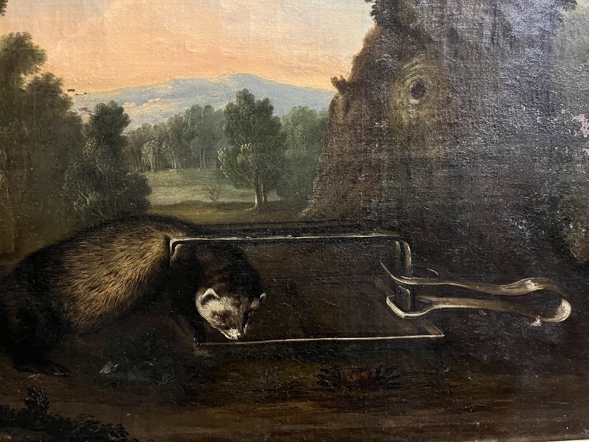The Trapped Badger - Oil On Canvas, 18th Century-photo-2
