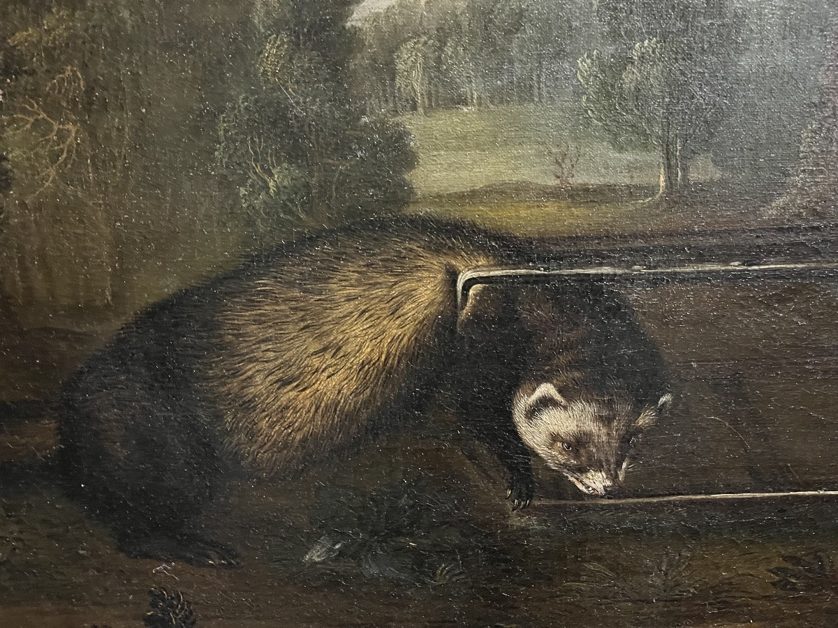 The Trapped Badger - Oil On Canvas, 18th Century-photo-4