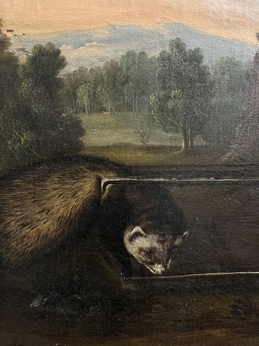 The Trapped Badger - Oil On Canvas, 18th Century-photo-2