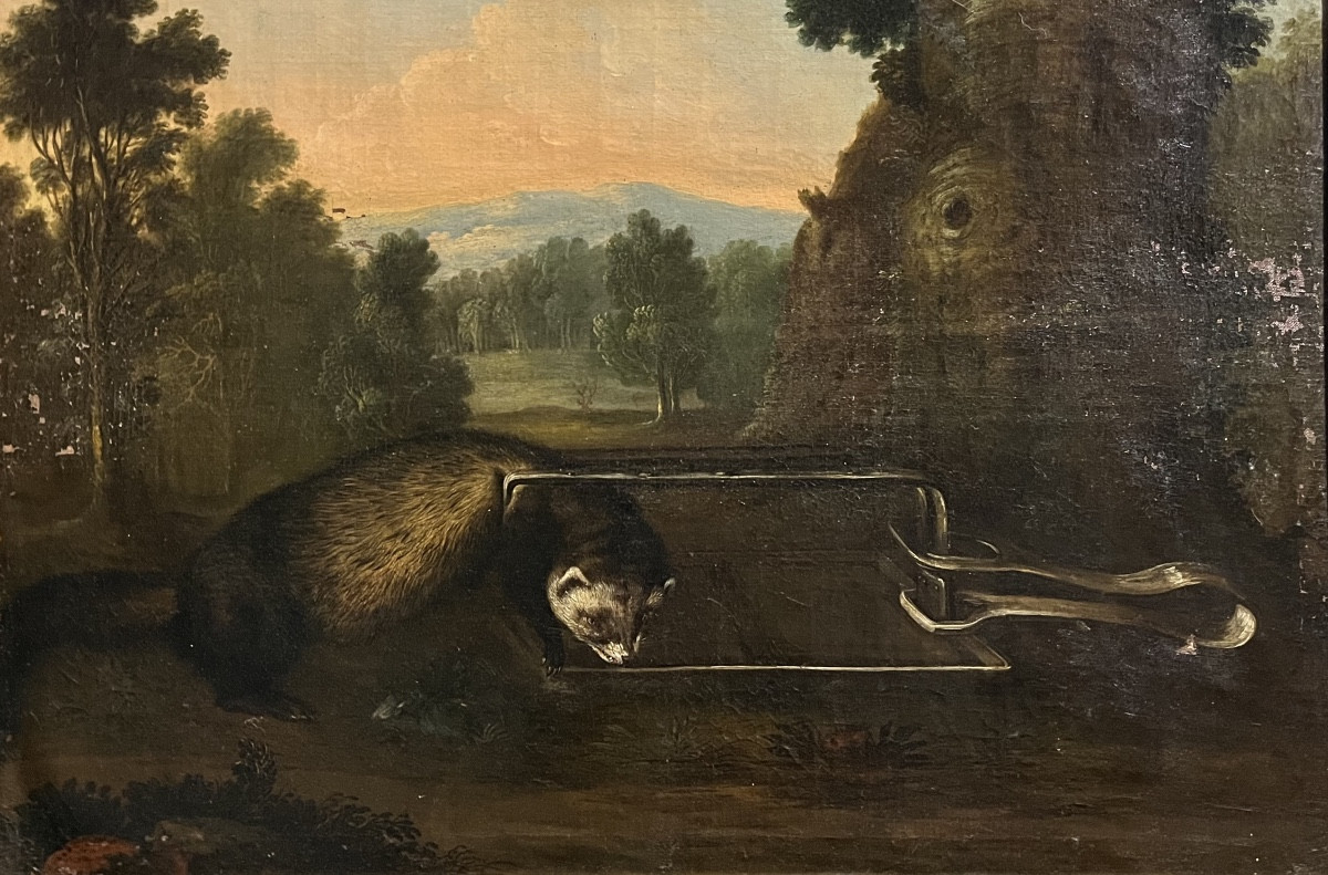 The Trapped Badger - Oil On Canvas, 18th Century