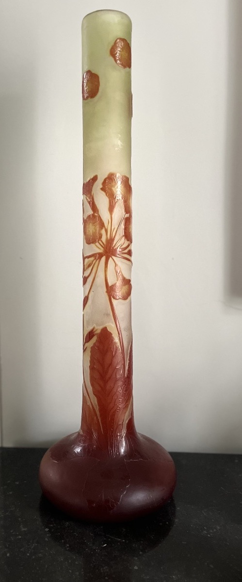 Grand vase camé à décor de fleurs d’émile Gallé-photo-1