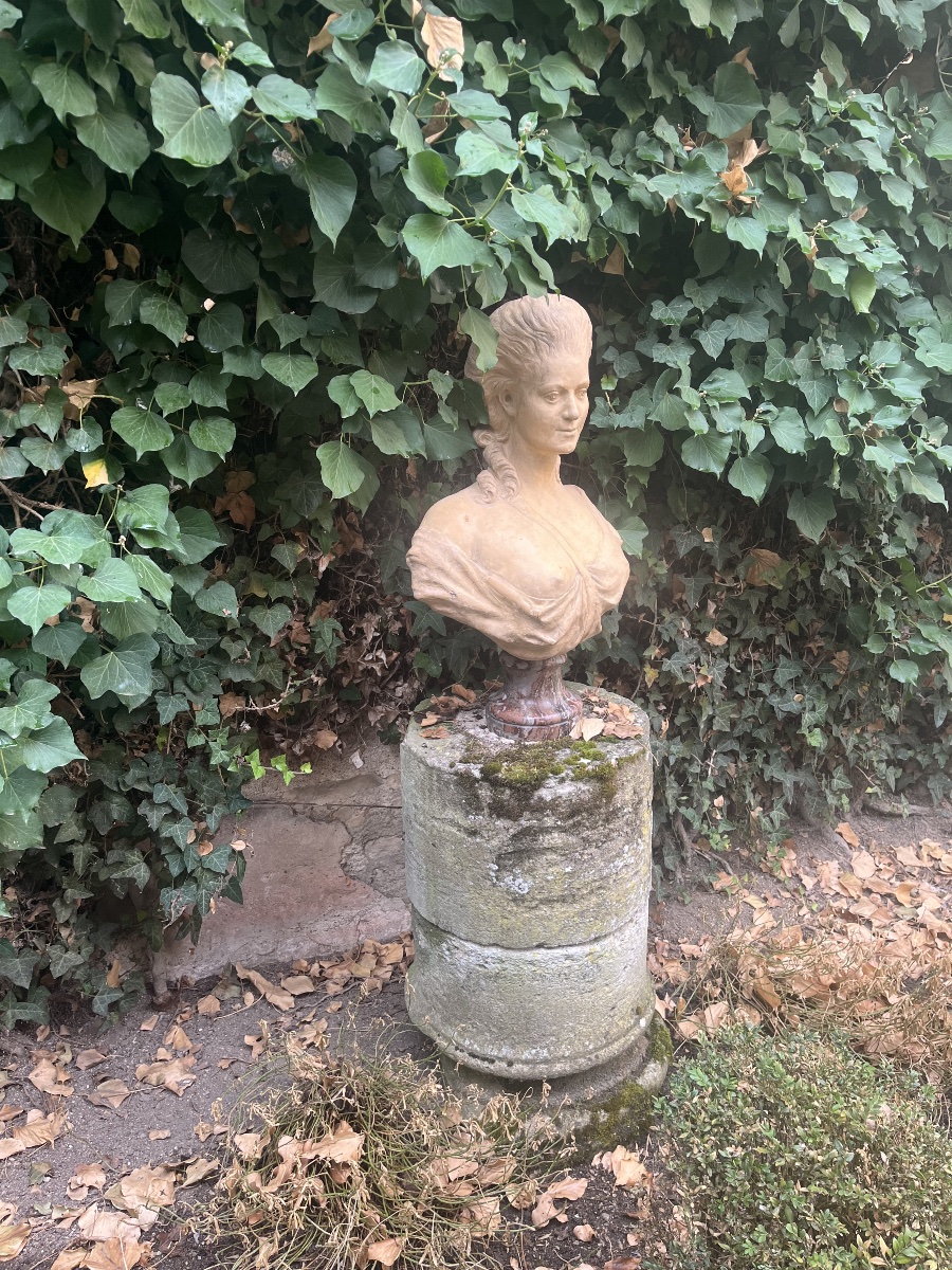 Late 18th-century Terracotta Bust-photo-5