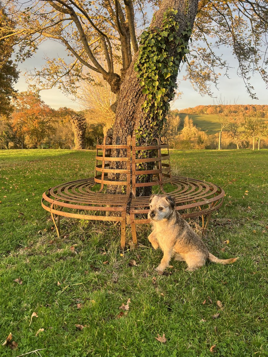 Circular Wrought Iron Tree Bench, France, Late 19th Century-photo-1