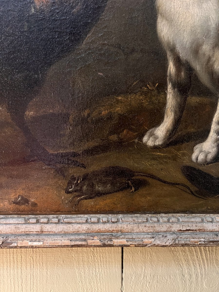 Farmyard Scene With Cat, Rooster, Hen And Mouse – French School, Early 19th Century-photo-3