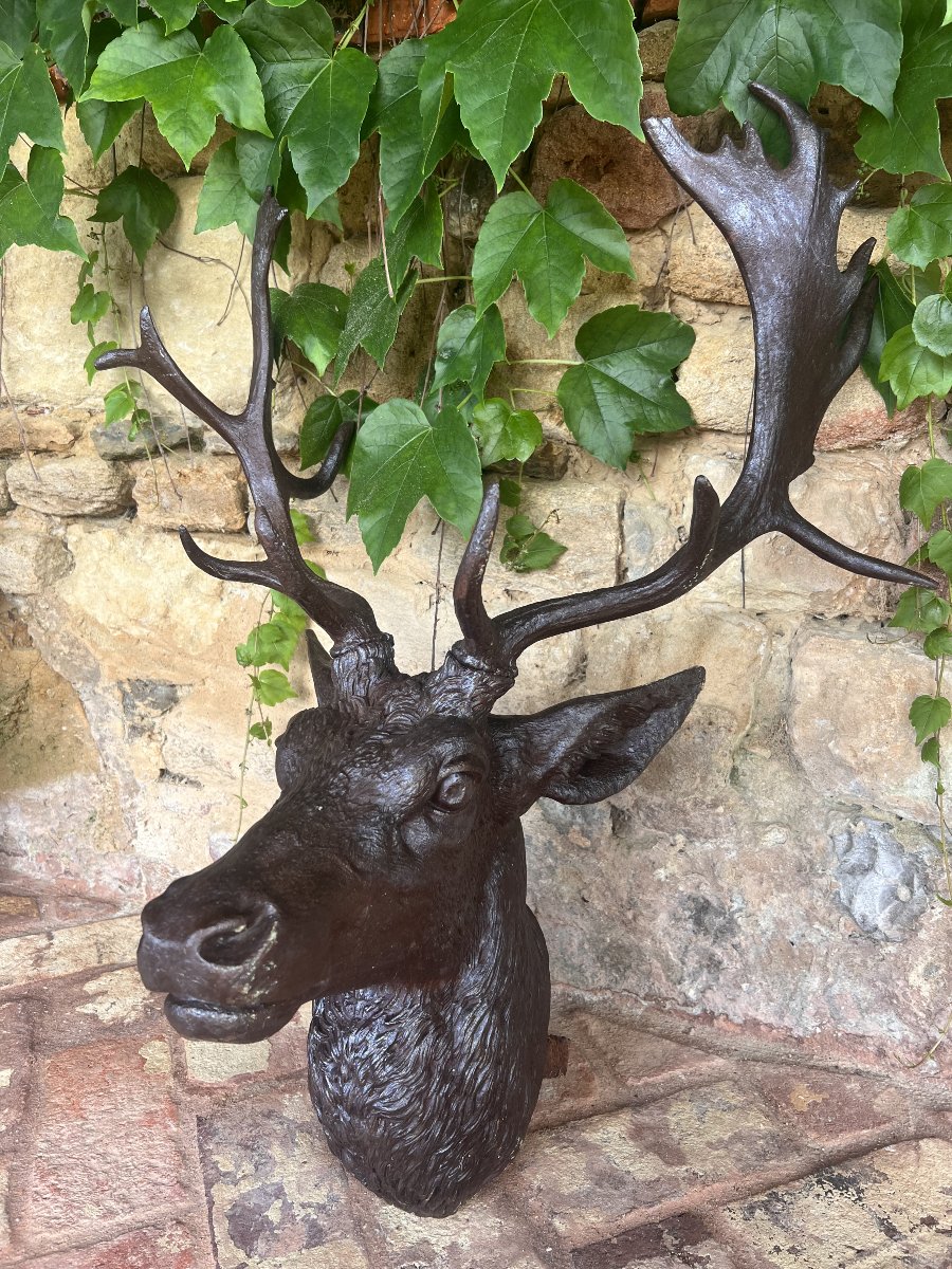 Cast-iron Deer Head From Val D’osne – Circa 1880-photo-2