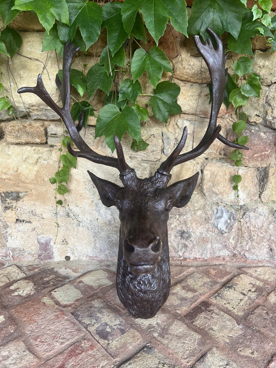 Cast-iron Deer Head From Val D’osne – Circa 1880-photo-3