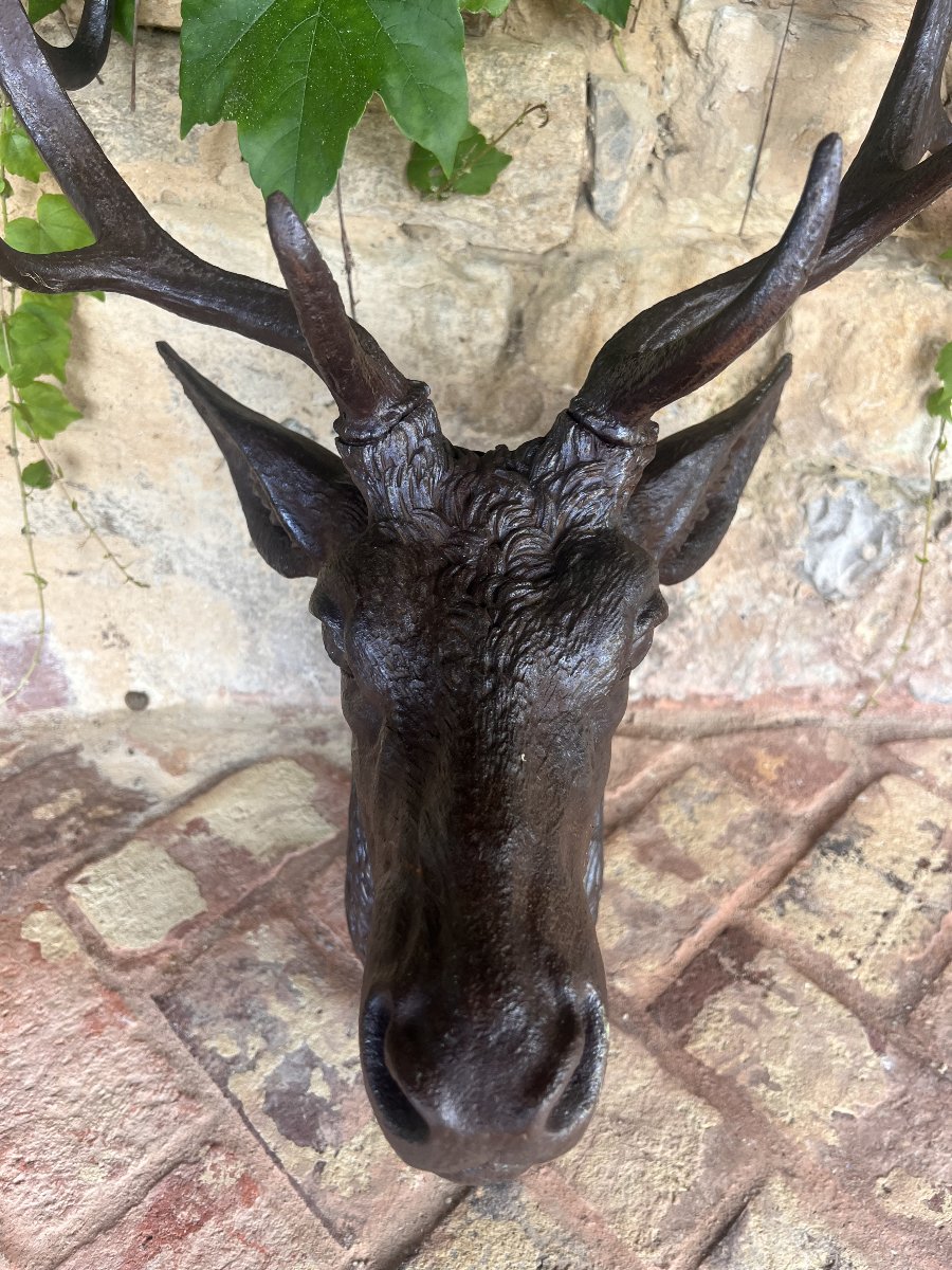 Cast-iron Deer Head From Val D’osne – Circa 1880-photo-4