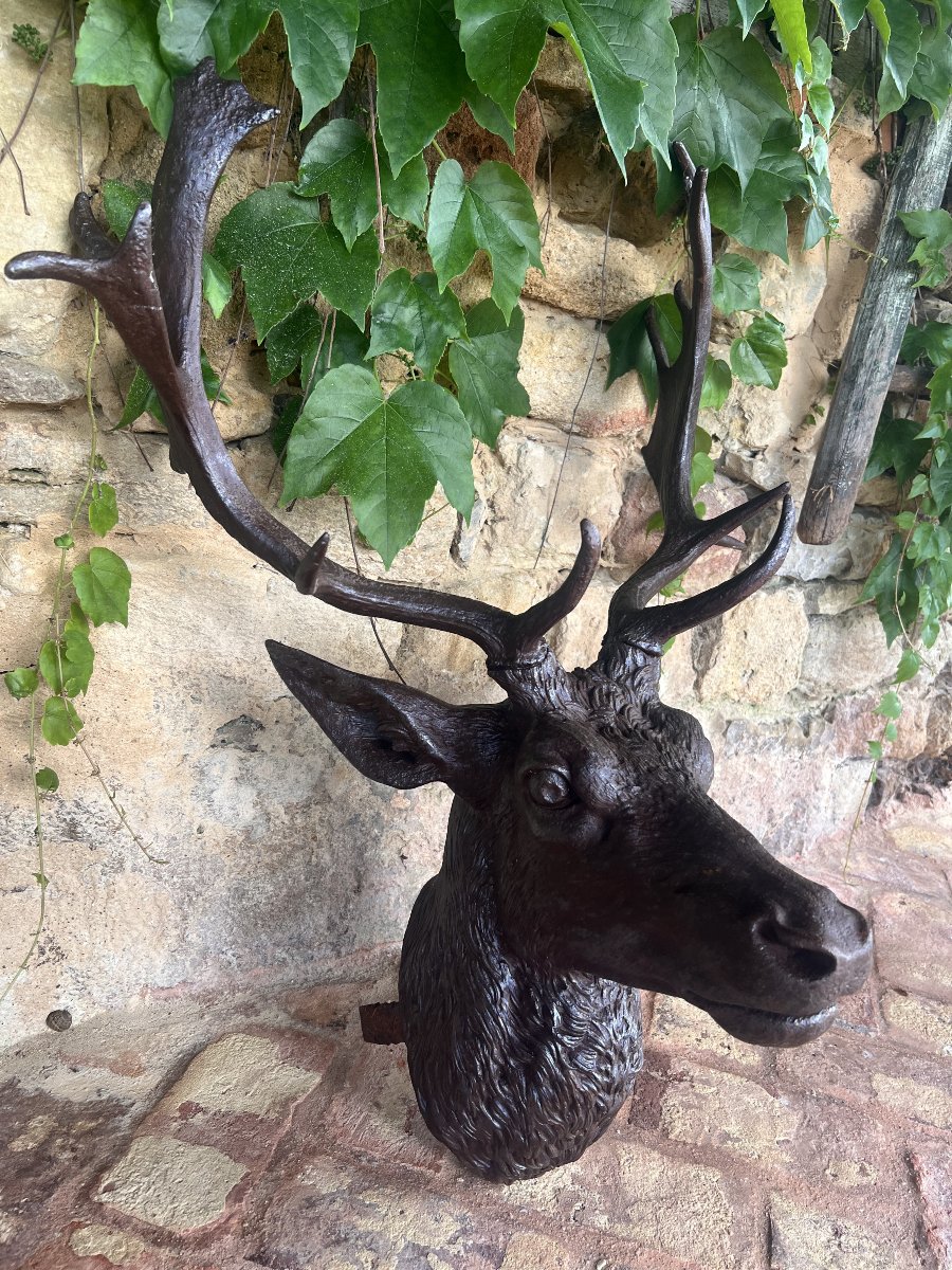 Cast-iron Deer Head From Val D’osne – Circa 1880