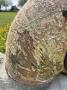 1552870-alb-682f87feddefc.jpg