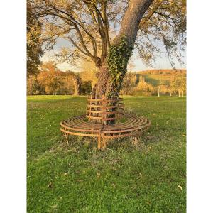 Banc d’arbre  circulaire en fer forgé, France, fin XIXème