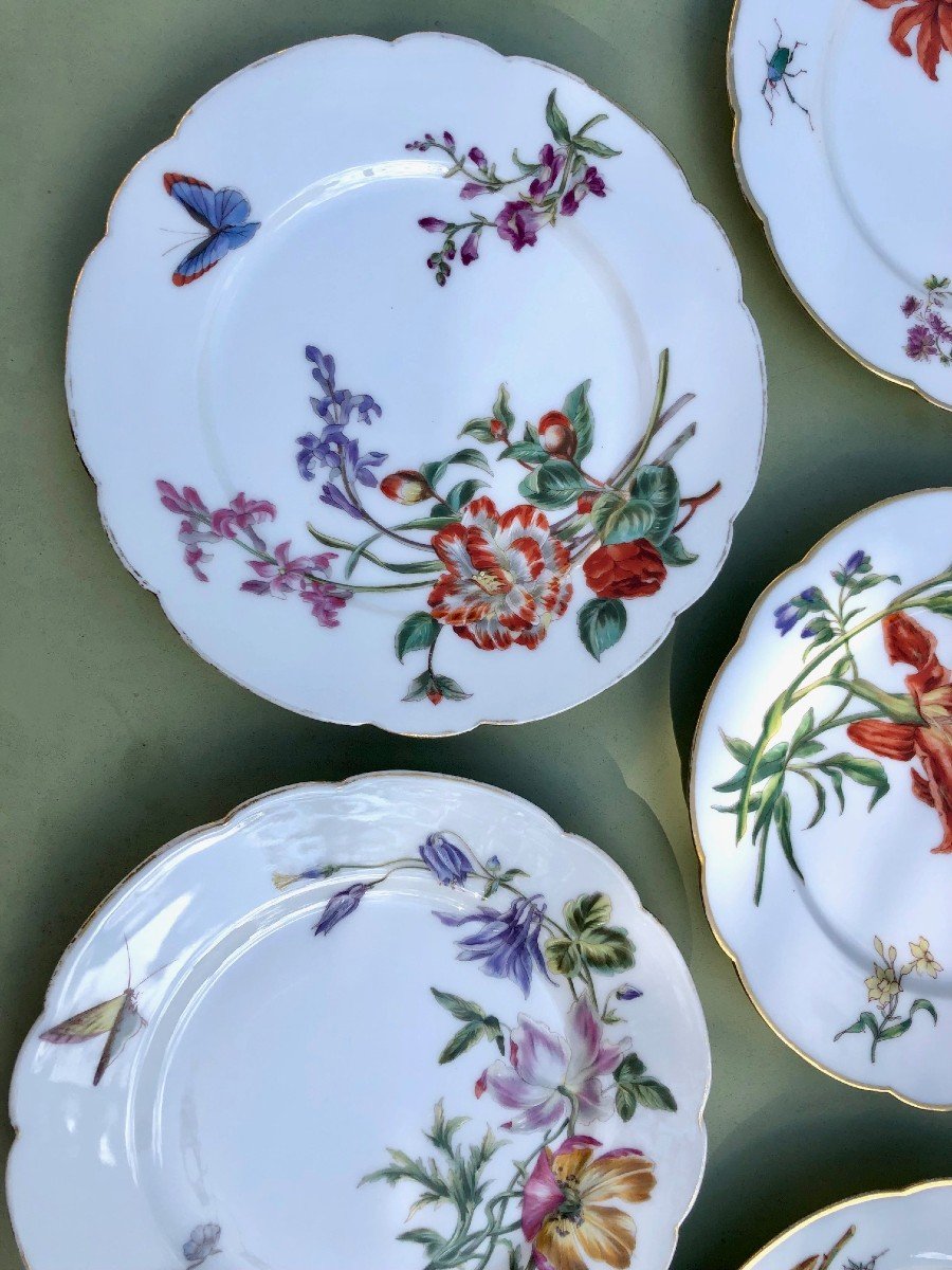19th Century Porcelain Dessert Service Decorated With Flowers And Insects-photo-1