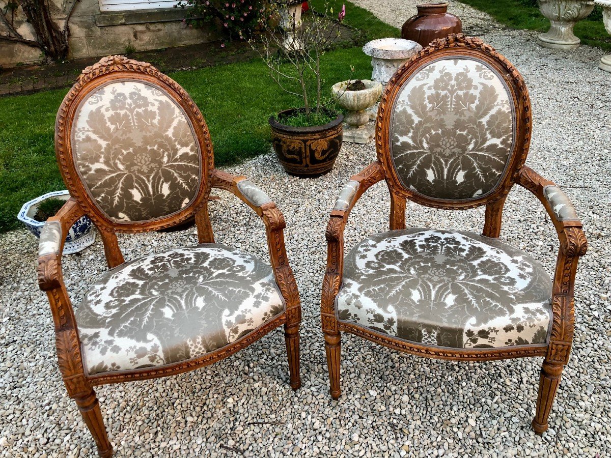 Paire De Fauteuils Médaillon Style Louis XVI Bois Naturel, Tissu soie grise motif feuillages 