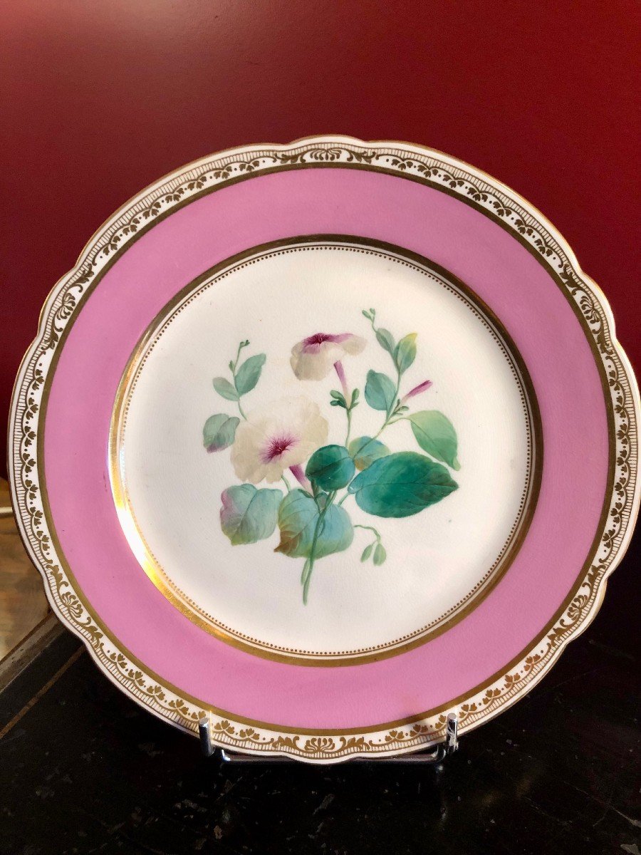 19th Century Paris Porcelain: 7 Plates And A Cup, Flower Decor -photo-2