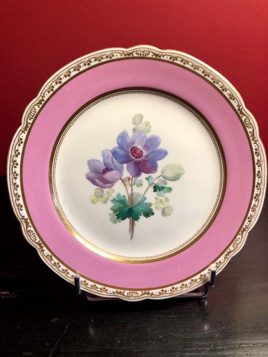 19th Century Paris Porcelain: 7 Plates And A Cup, Flower Decor -photo-1