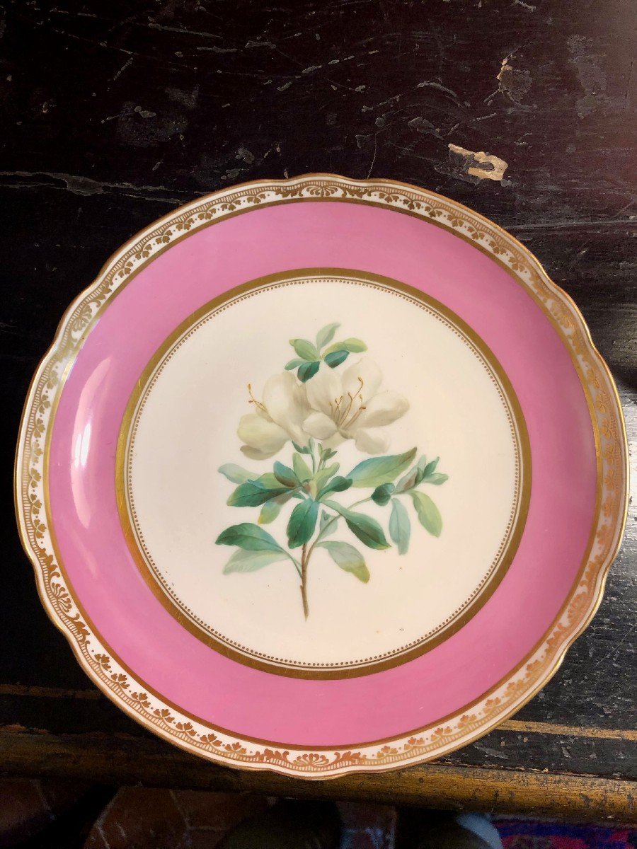 19th Century Paris Porcelain: 7 Plates And A Cup, Flower Decor -photo-2