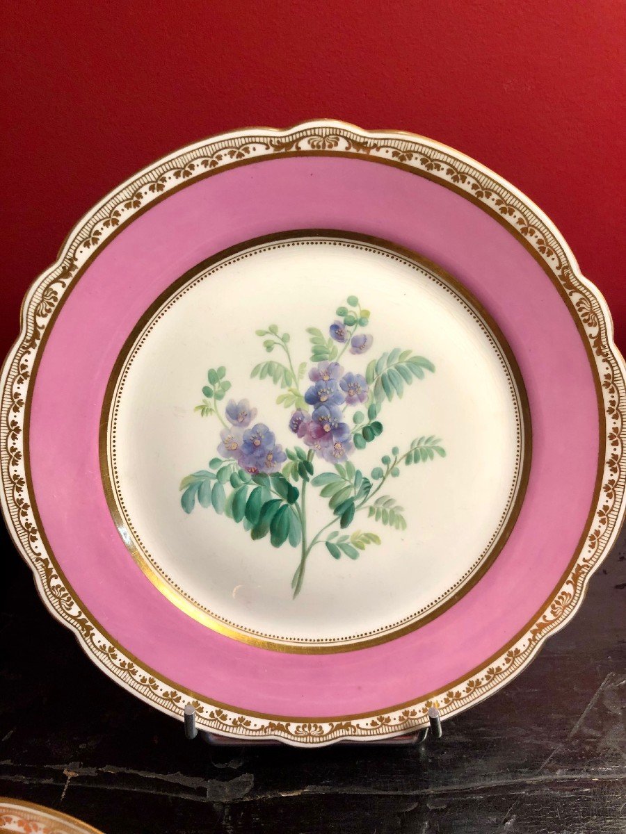 19th Century Paris Porcelain: 7 Plates And A Cup, Flower Decor -photo-4