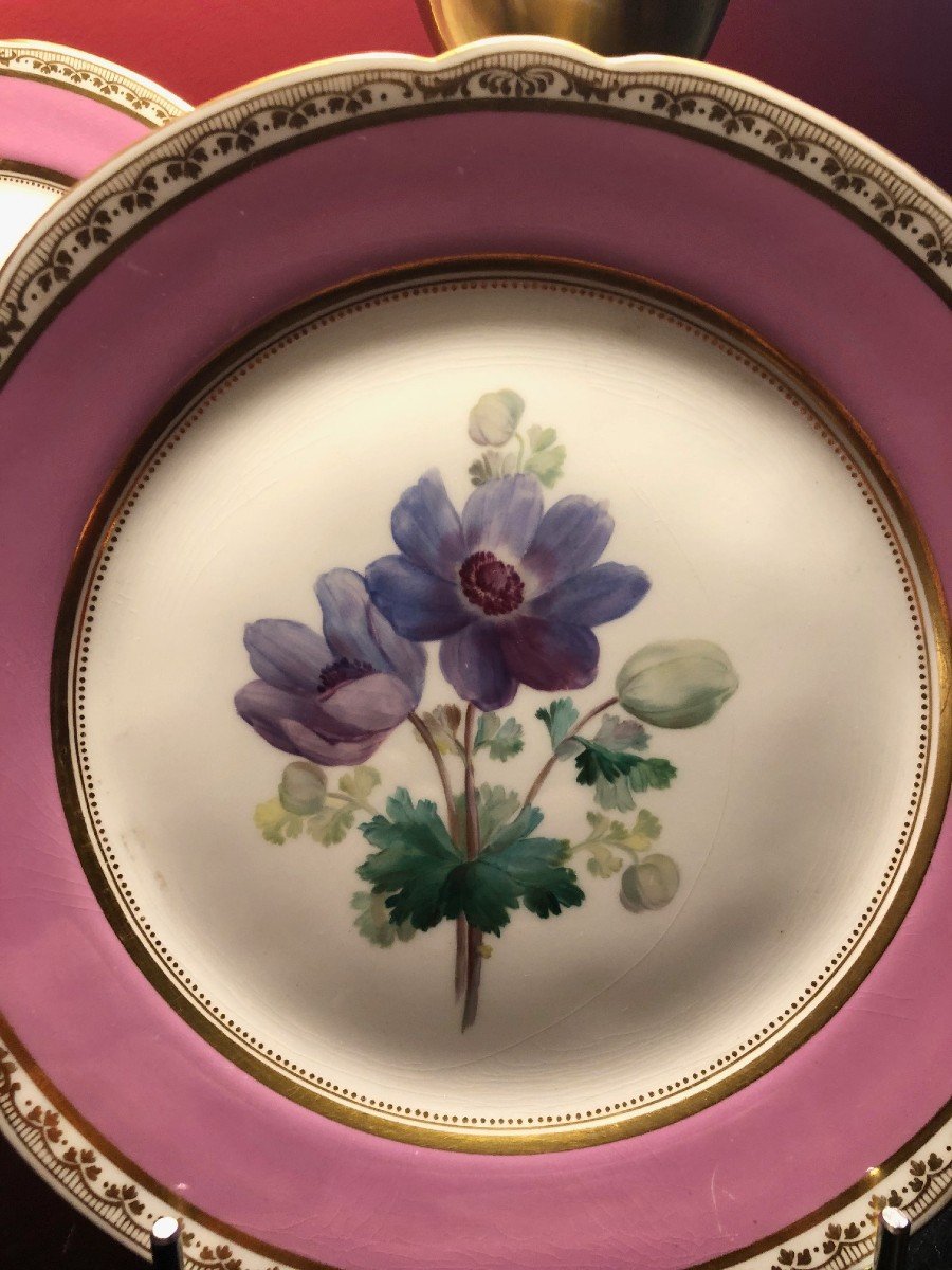 19th Century Paris Porcelain: 7 Plates And A Cup, Flower Decor -photo-8