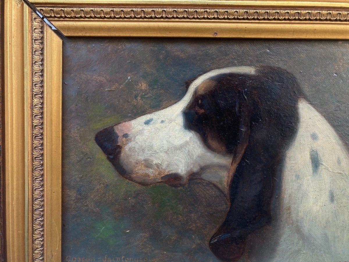 Georges Mignet (1864-1935). Portrait De Chien - Gascon Saintongeois, 1923. Huile Sur Carton.-photo-2