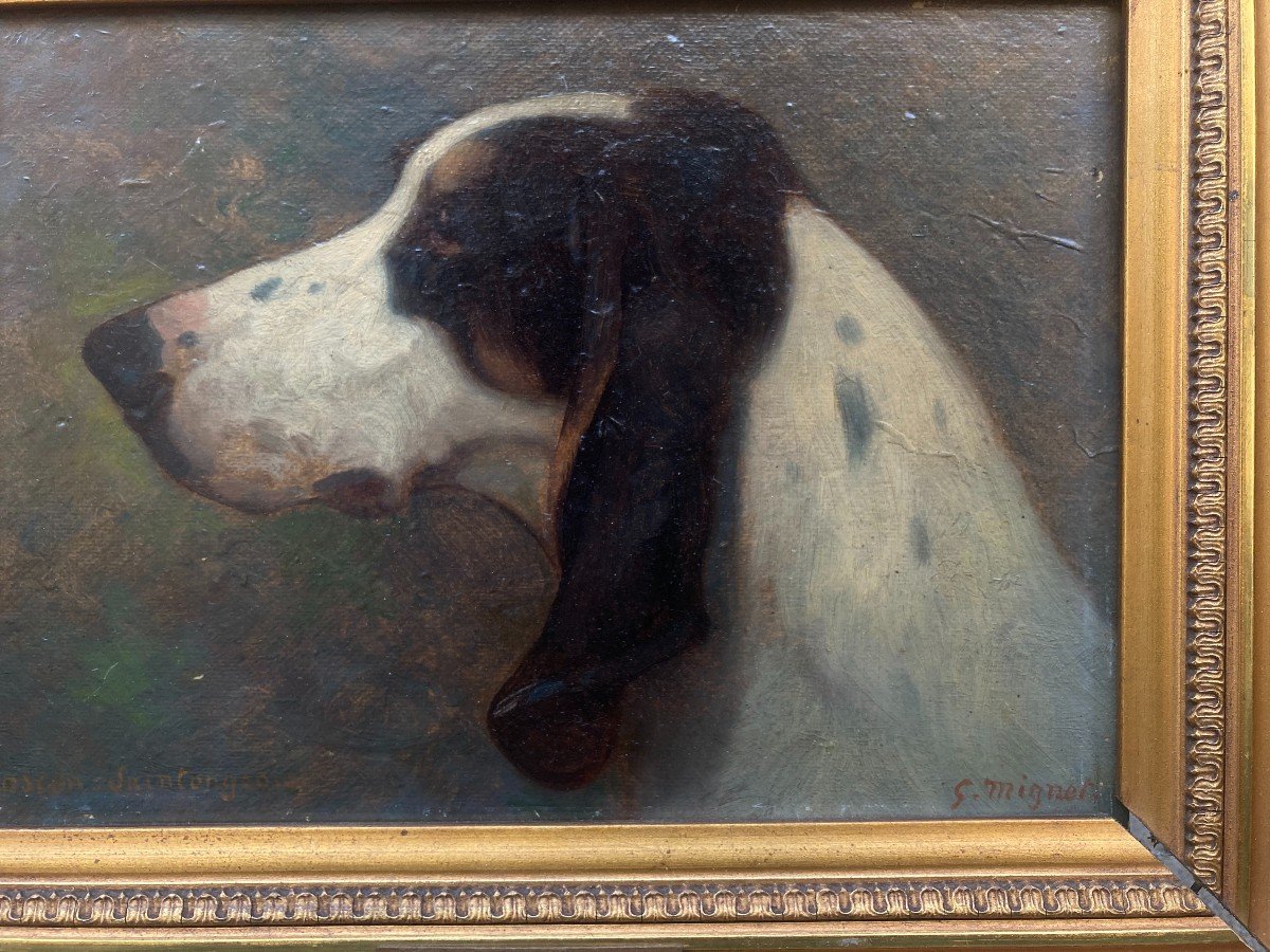 Georges Mignet (1864-1935). Portrait De Chien - Gascon Saintongeois, 1923. Huile Sur Carton.-photo-4