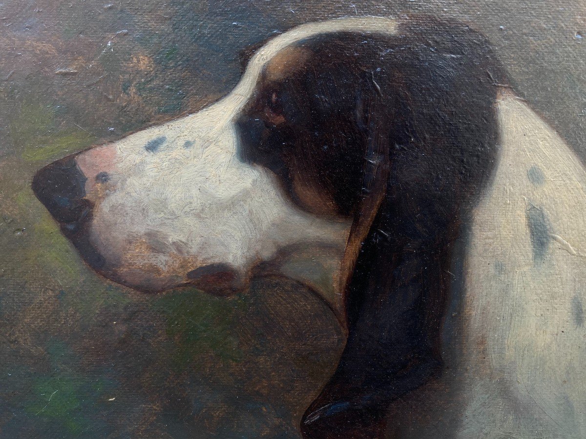 Georges Mignet (1864-1935). Portrait De Chien - Gascon Saintongeois, 1923. Huile Sur Carton.-photo-5