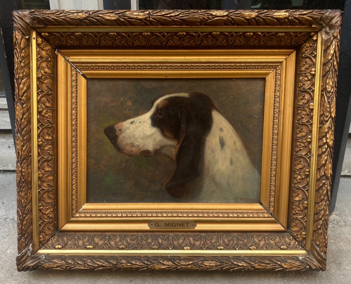 Georges Mignet (1864-1935). Portrait De Chien - Gascon Saintongeois, 1923. Huile Sur Carton.-photo-8