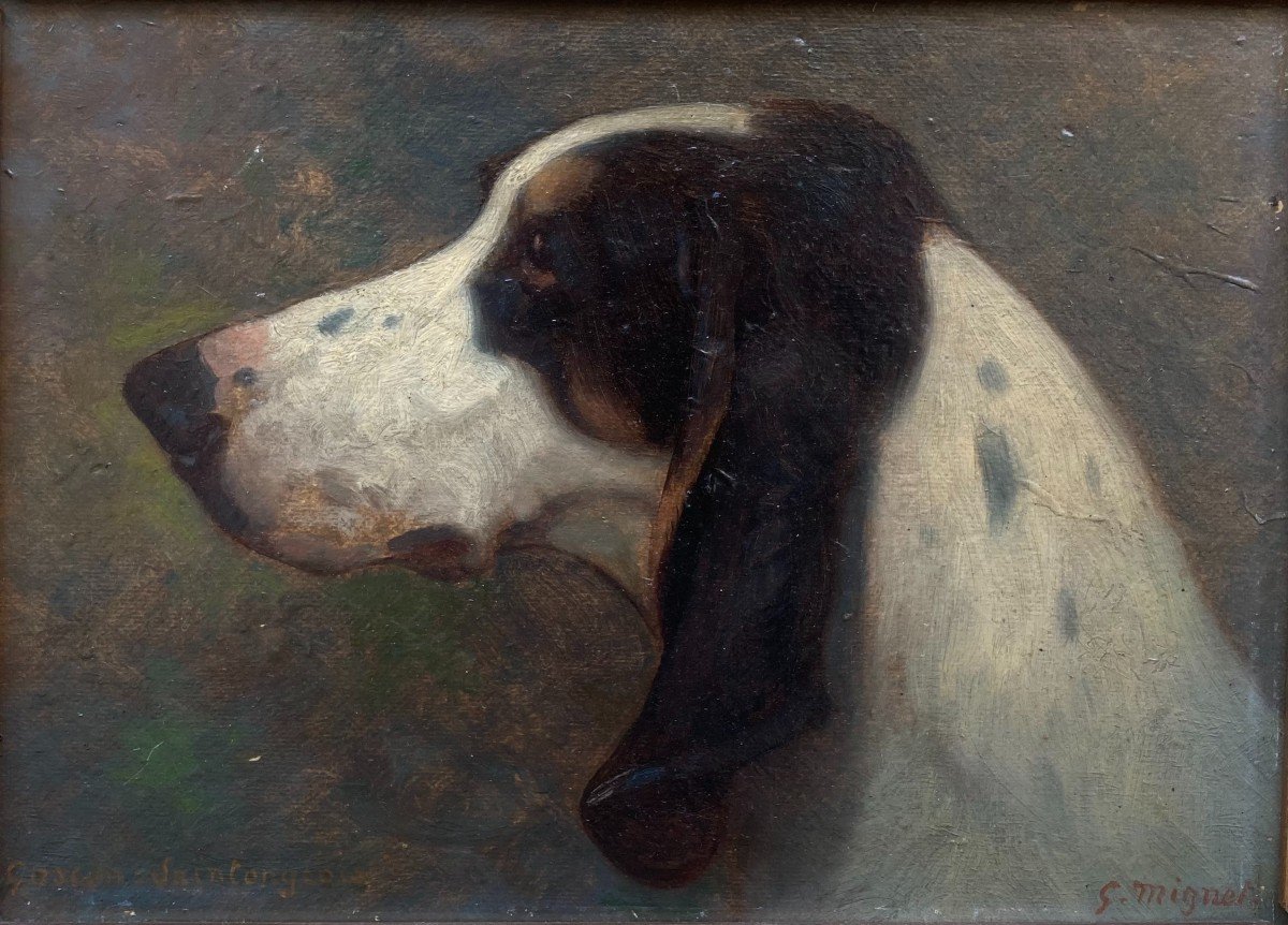 Georges Mignet (1864-1935). Portrait De Chien - Gascon Saintongeois, 1923. Huile Sur Carton.