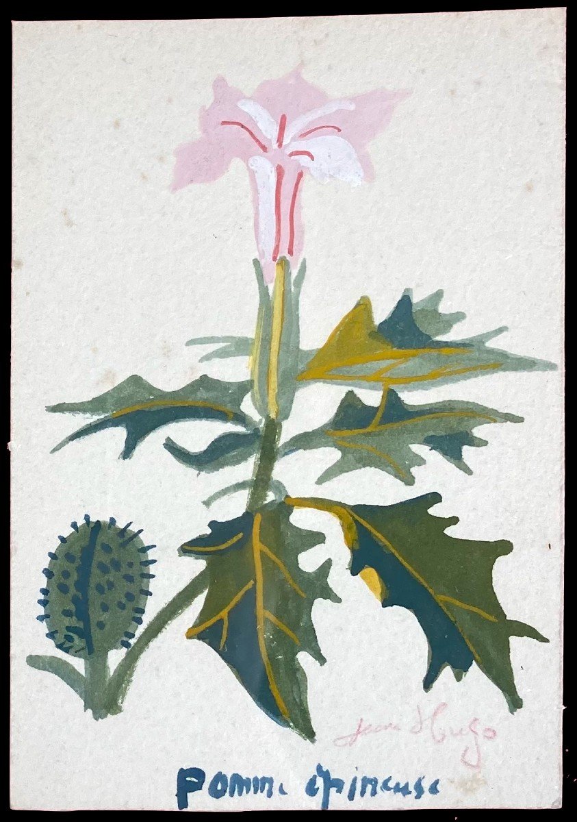 Jean Hugo (1894-1984). Pomme &eacute;pineuse Gouache Sur Papier, Sign&eacute; Et Titr&eacute;.