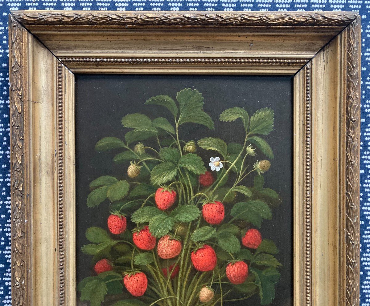 Louis Théophile Demory (1802-1872). Le Fraisier. Huile Sur Panneau, Signé. Encadré. -photo-2