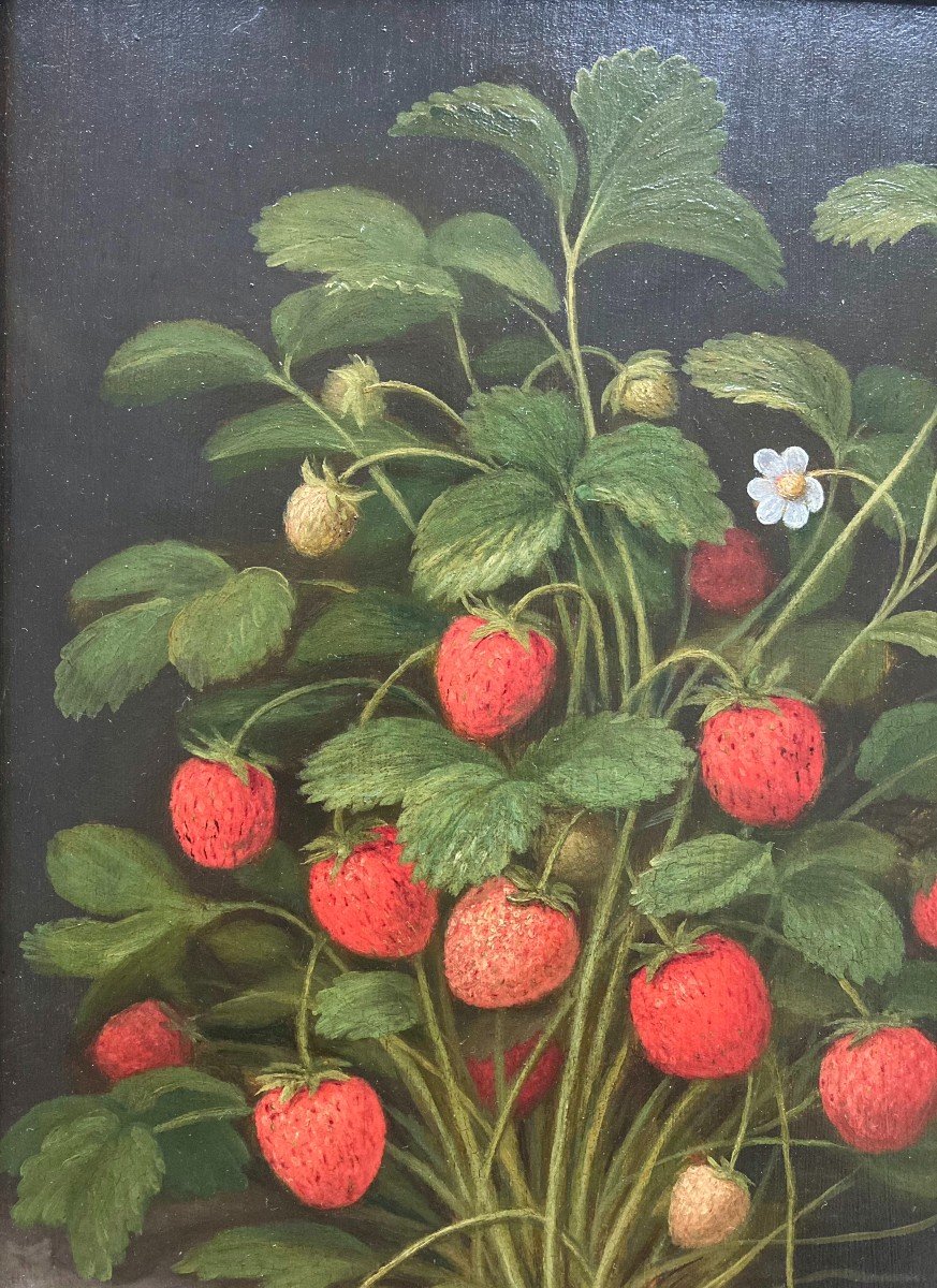 Louis Théophile Demory (1802-1872). Le Fraisier. Huile Sur Panneau, Signé. Encadré. -photo-4