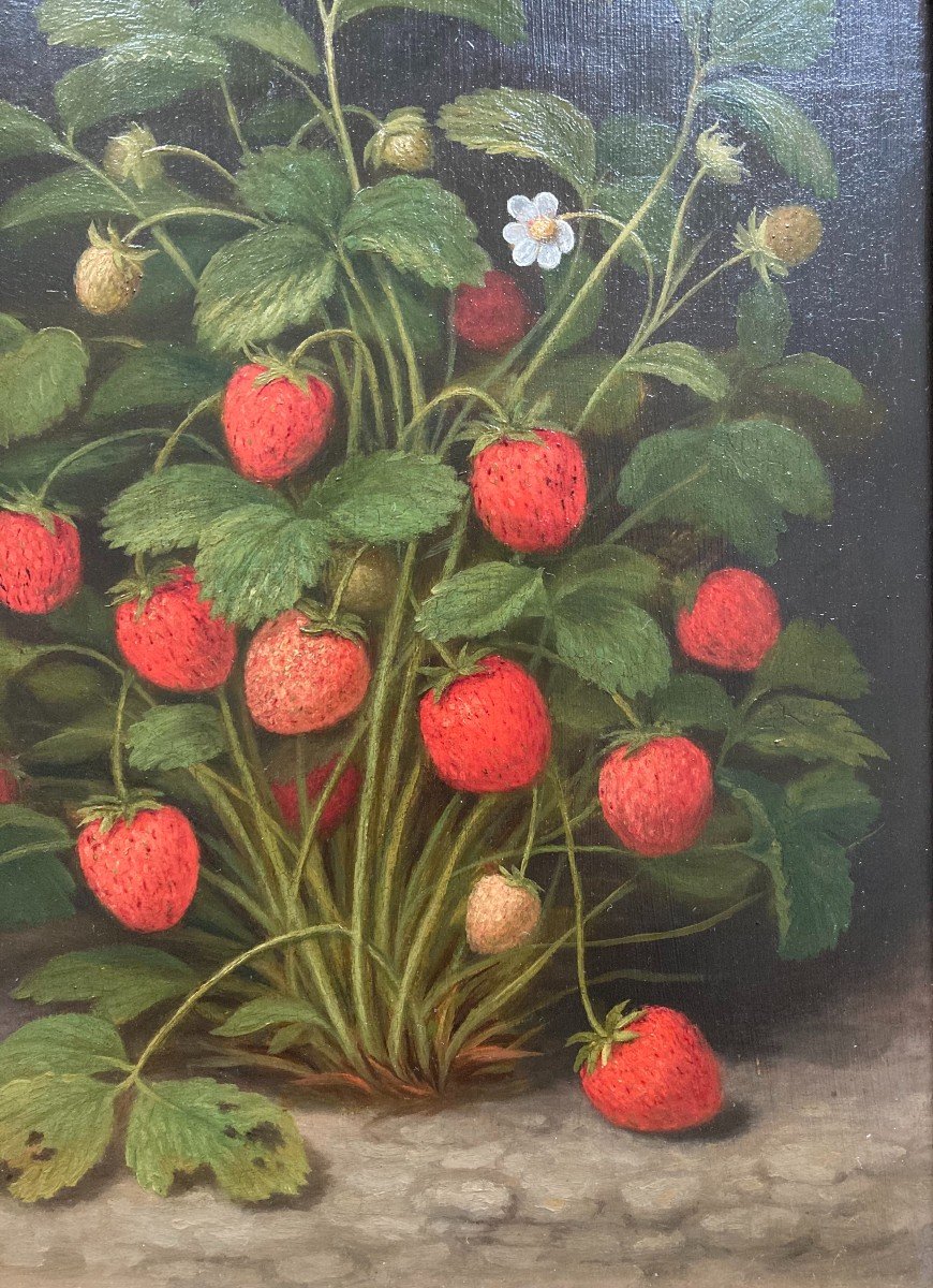 Louis Théophile Demory (1802-1872). Le Fraisier. Huile Sur Panneau, Signé. Encadré. -photo-6