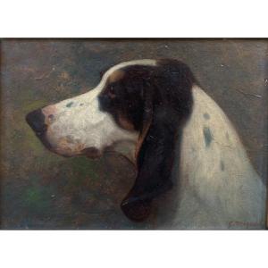 Georges Mignet (1864-1935). Portrait De Chien - Gascon Saintongeois, 1923. Huile Sur Carton.