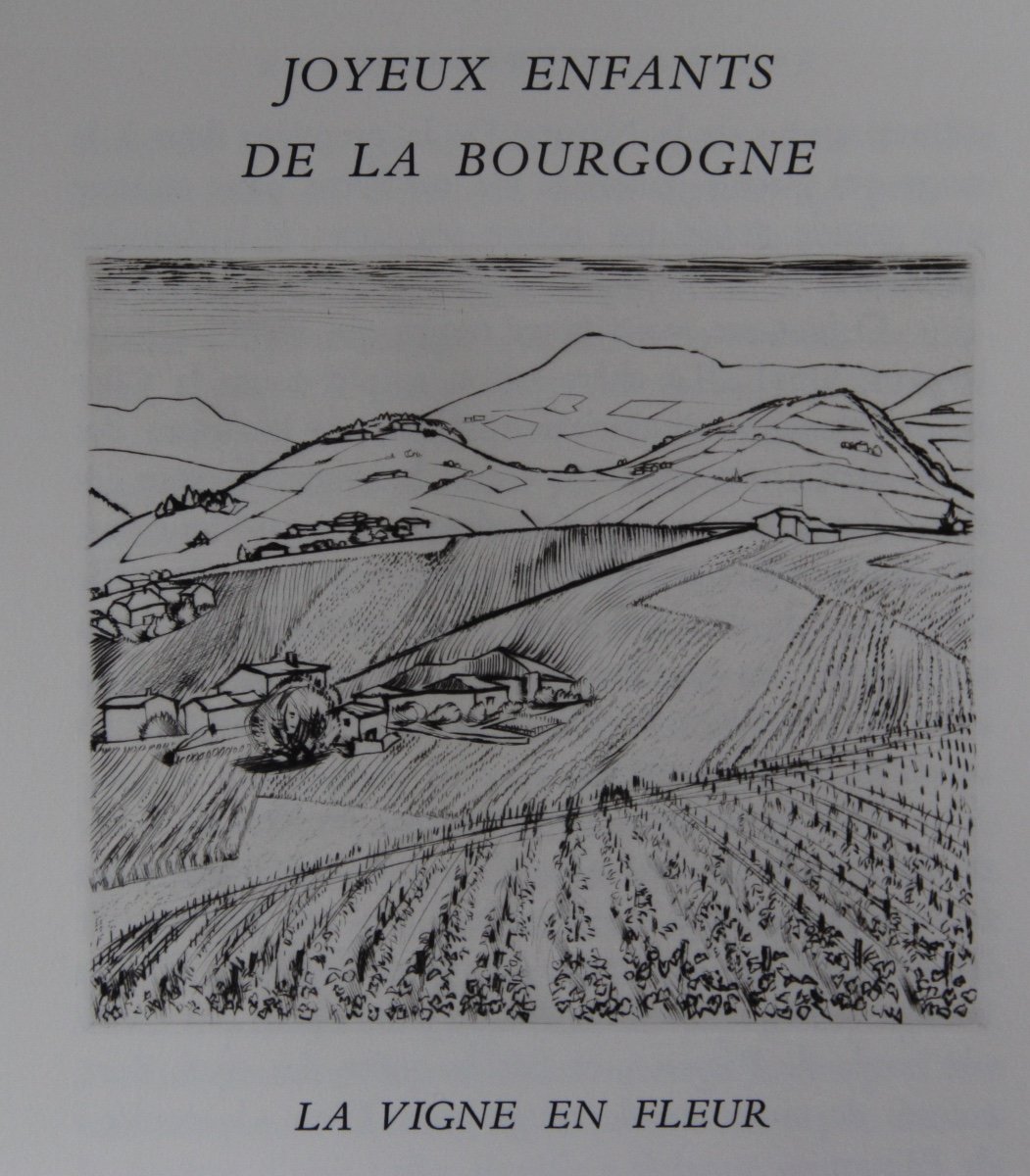 Burgundy By André Jacquemin-photo-5