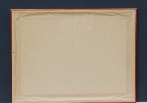 Plan de Campagne du Duc de CAMBRIDGE 1803-photo-3