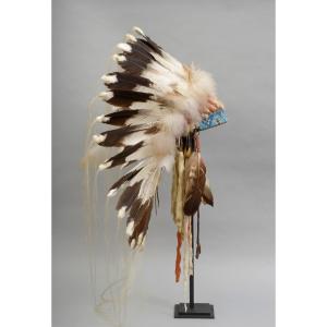 A Native American Warbonnet