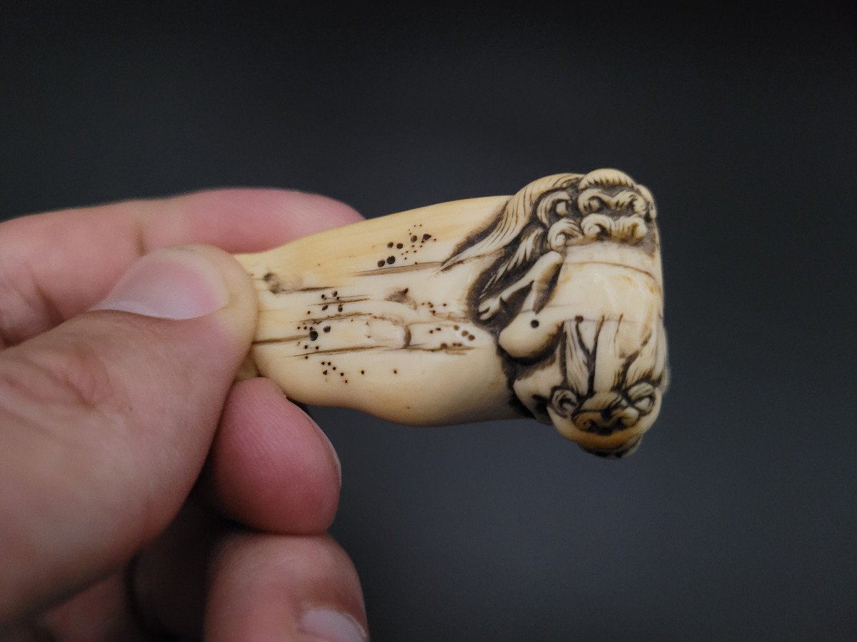 Netsuke - Shishi Escaladant Un Rocher - Ivoire - Japon - XVIIIème Siècle-photo-8