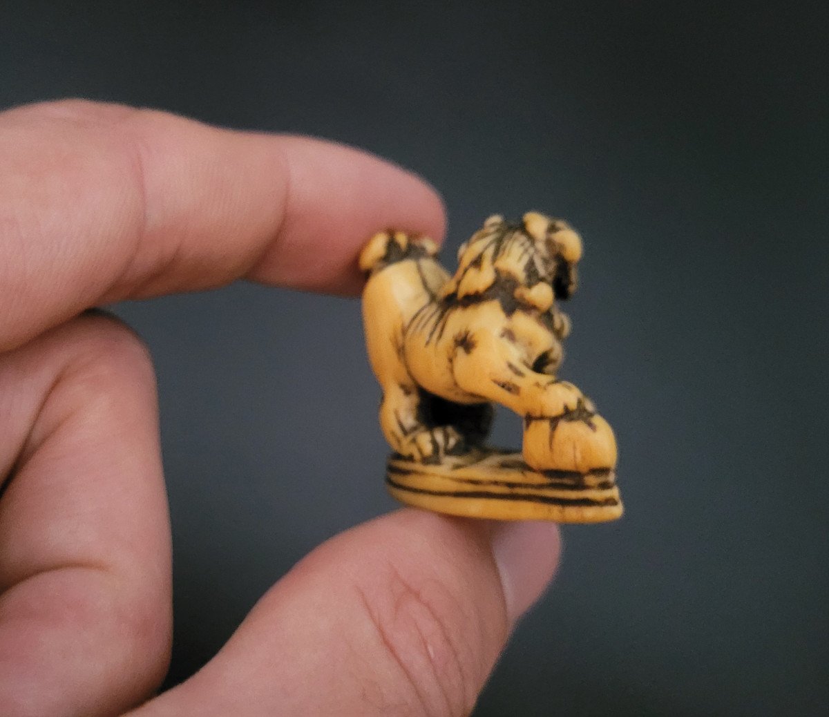 Netsuke - Shishi With 3 Tamas - Ivory - Japan - XVIIIth-photo-3