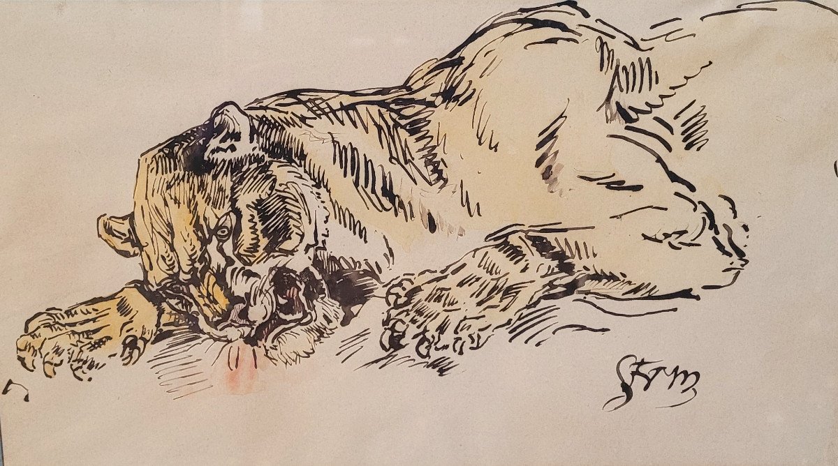 Charles Edme Saint Marcel (1819-1890) - Tigre Rugissant - Aquarelle - Dessin - Signé