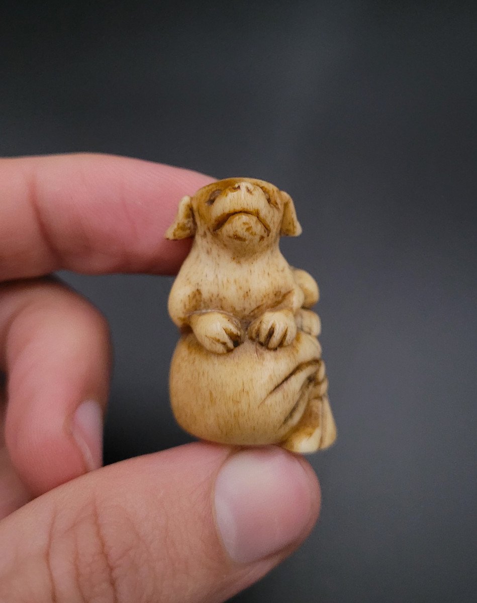 Netsuke - Puppy On A Bag - Japan - End Of 19th Century -photo-2